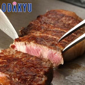   Yn  m gjVt@[ n kCY L T[CXe[LZbg b7-10xł̂͂Eւ͓͕s()