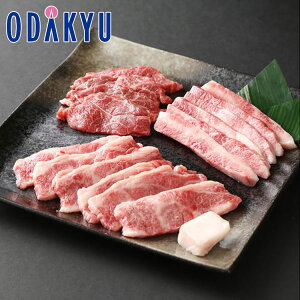   Yn  m ݖq n Č _˃r[t ēp KY-100K b7-10xł̂͂Eւ͓͕s()