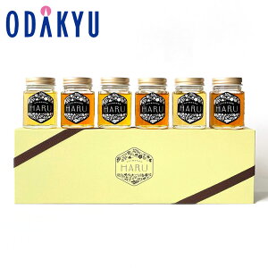   Yn  m Ash n HARU \ỏԁX ݂͂ 6{Zbg b7-10xł̂͂Eւ͓͕s()