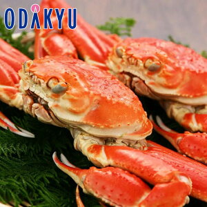   Yn  킢I b7-10xł̂͂Eւ͓͕s()