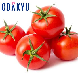 トマト 送料無料 産地はおまかせ おすすめフルーツトマト 約700g 【7-12日程度でのお届け】※北海道・四国・九州・離島へは届不可