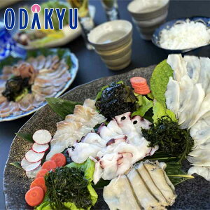  O Yn  VRтƊC̍K̂Ԃ AUSS-5K b7-10xł̂͂Eւ͓͕s()