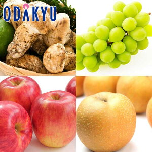 H̖o ʔ̔ kĎYƏHʎ̍ʂZbg b101菇z\聦kCElEBEEւ͓͕s()
