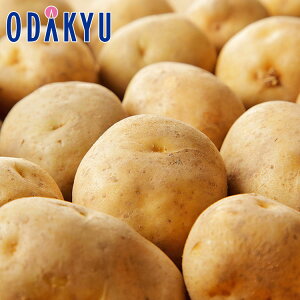 H̖o ʔ̔  j݈ L`2LTCY 5kg b9{菇z\聦Eւ͓͕s()