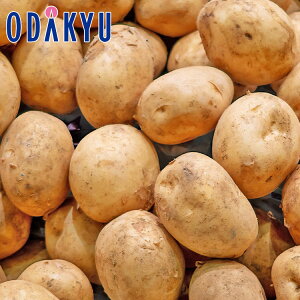 H̖o ʔ̔  j݈ L`2LTCY 10kg b9{菇z\聦Eւ͓͕s()