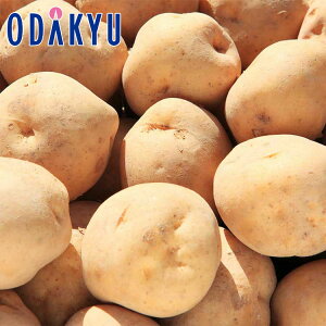 H̖o ʔ̔  j L`2LTCY 3kg b9{菇z\聦Eւ͓͕s()