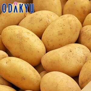 H̖o ʔ̔  [NC L`2L 10kg b9{菇z\聦Eւ͓͕s()
