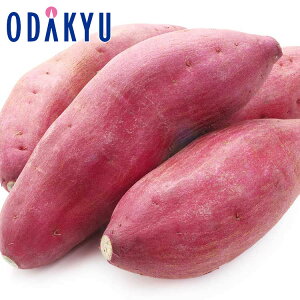 H̖o ʔ̔   L`2LTCY 5kg b9{菇z\聦Eւ͓͕s()