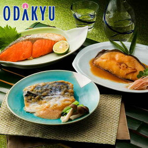 ubNtCf[ Xnϋċl NA-100 bẃEւ͓͕s(G)