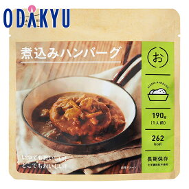 防災 長期保存食 送料無料 ［ イザメシ IZAMESHI ］ 煮込みハンバーグ 18食セット ｜注文後、4週間程度でのお届け予定(直)