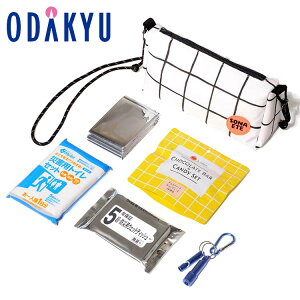 h hЃZbg  m SONAETE n hЃ|[` bA1`2Oł̂͂\()