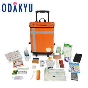 h hЃZbg  hЃobO TANAKA hЎmuU[Yf1lpO[ bA1`2Oł̂͂\()