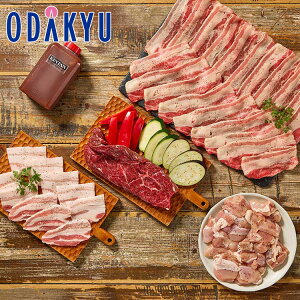 Mtg  m KINTAN n 4̂؂TKXe[LēZbg 1kg b7-10xł̂͂Eւ͓͕s()