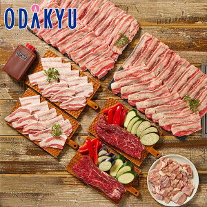 Mtg  m KINTAN n 4̂؂TKXe[LēZbg 2kg b7-10xł̂͂Eւ͓͕s()