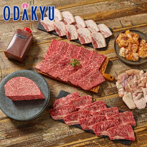 Mtg  m KINTAN n A5䋍 & Yɂ6̃oGeBēZbg b7-10xł̂͂Eւ͓͕s()