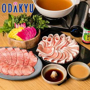 Mtg  m KINTAN n JWAԂԃZbg b7-10xł̂͂Eւ͓͕s()