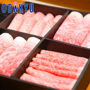 Mtg  m KINTAN n ɏA5N̐䋍ԂԃZbg b7-10xł̂͂Eւ͓͕s()