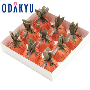 Mtg aَq m ڂ n H` 9 b3-10ł̂͂Eւ͓͕s(A)