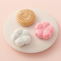 ギフト和菓子[とらや虎屋]最中12個入｜約3-10日でのお届け※沖縄・離島へは届不可