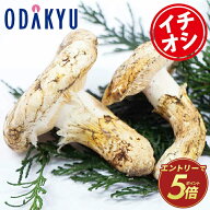 秋の味覚 特別販売会 北米産 まつたけ おまかせ 約400g ｜10月上旬以降順次お届け※北海道・四国・九州・…