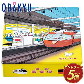 ［ 豊島屋 ］ 鳩サブレー 小田急百貨店 限定 ロマンス缶 正規品 記念 ギフト ｜約3-10日でのお届け※沖縄・離島へは届不可(B)