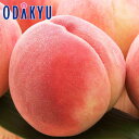 もも 送料無料 山梨県産 新品種 夢桃香 6玉 約1.6kg ｜7-12日程度でのお届け※沖縄・離島へは届不可(直)