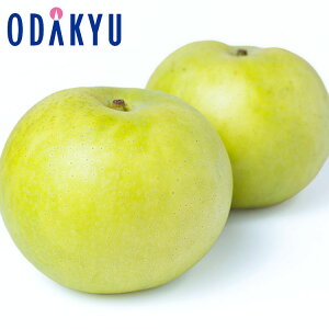 Ȃ  󒍔̔ 挧Y ȂЂߗ6 2kg b8{ȍ~ɏEւ͓͕s()