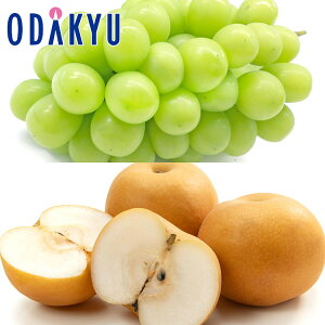 Ԃǂ Ȃ  RY  & x12xȏ 쐅 Giȏ 1.6kg b9{ȍ~ɏ͂Eւ͓͕s()