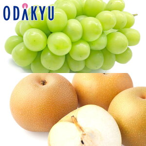 Ԃǂ Ȃ  RY  & x12xȏ Â Giȏ 1.6kg b9{ȍ~ɏ͂Eւ͓͕s()