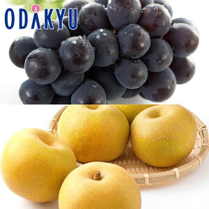 Ԃǂ Ȃ  RY [j[sI[l & x12xȏ L Giȏ 1.8kg b91ȍ~ɏ͂Eւ͓͕s()
