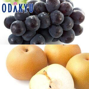 Ԃǂ Ȃ  [j[sI[l & x Â Giȏ 1.8kg b9{ȍ~ɏ͂Eւ͓͕s()