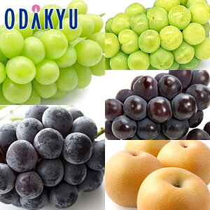 Ԃǂ Ȃ  ߂Ԃǂ4iƓx12xȏ̗ Giȏ 2.8kg b9{ȍ~ɏ͂Eւ͓͕s()