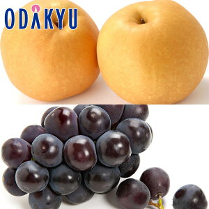 Ԃǂ Ȃ  {̗ƉRY 햳sI[l Giȏ 0.9kg b91ȍ~ɏ͂Eւ͓͕s()