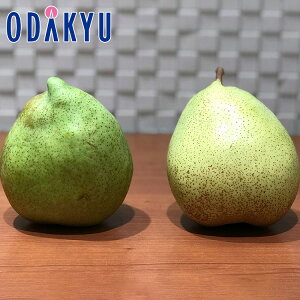 m  R`Y }QbgE}[ 6ʋl G 1.6kg b9{ȍ~ɏ͂Eւ͓͕s()