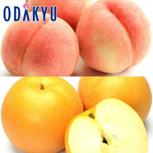  Ȃ  {̎Ynł͂ x & x{̗ GNX 1.3kg b91ȍ~ɏ͂Eւ͓͕s()