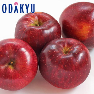   쌧Y Hf ΂ 6ʓ 1.6kg b9{ȍ~ɏ͂Eւ͓͕s()