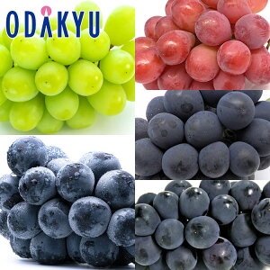  쌧Y \iS! Ԃǂ 5Zbg 2kg G b7-12xł̂͂Eւ͓͕s()
