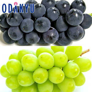  쌧Y MBԂǂ Ȃ & VC}XJbg 0.9kg G b7-12xł̂͂Eւ͓͕s()