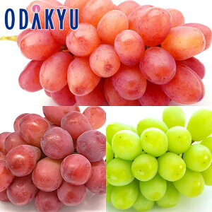 Ԃǂ 쌧Y ԂƗ΂̂Ԃǂ MBԂǂO 1.3kg G b7-12xł̂͂Eւ͓͕s()