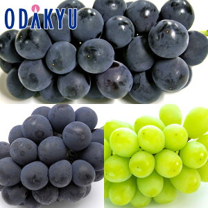  쌧Y ԐMBԂǂO 1.3kg G b7-12xł̂͂Eւ͓͕s()