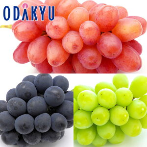 Ԃǂ 쌧Y NC[[W & VC}XJbgƎȂsI[l 1.3kg G b7-12xł̂͂Eւ͓͕s()
