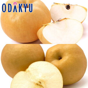 Ȃ ʐHה! 쐅 & V v4 2.2kg b7-12xł̂͂Eւ͓͕s()