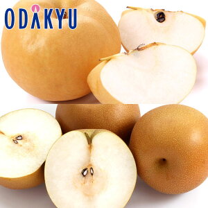Ȃ ʐHה! 쐅 & ɂ藜 v4 2.6kg b7-12xł̂͂Eւ͓͕s()