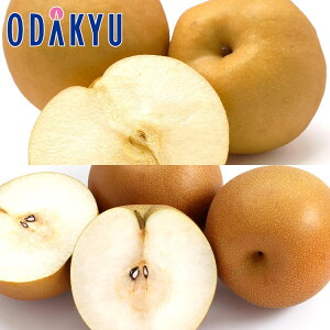 Ȃ ʐHה! V & ɂ藜 v4 2.8kg b7-12xł̂͂Eւ͓͕s()