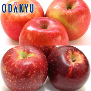  ӂ & Hf v6 1.6kg b7-12xł̂͂Eւ͓͕s()
