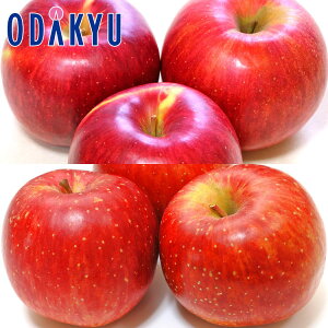  VimXC[g & Ђ v6 1.6kg b10{ȍ~̂͂Eւ͓͕s()