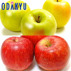  ܖ & Ђ v6 1.6kg b10{ȍ~̂͂Eւ͓͕s()