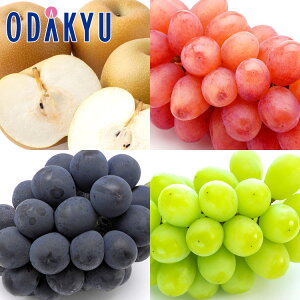 ぶどう なし 旬の梨と信州3色食べ比べ 約2.5kg 秀 |10月中旬以降のお届け※沖縄・離島へは届不可(直)