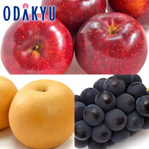 Ԃǂ   쌧Y HfƖ키MBoZbg 2kg b7-12xł̂͂Eւ͓͕s()