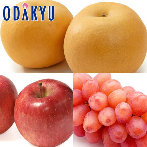 Ԃǂ   NC[[WƖ키MBH̖oZbg 1.4kg b7-12xł̂͂Eւ͓͕s()